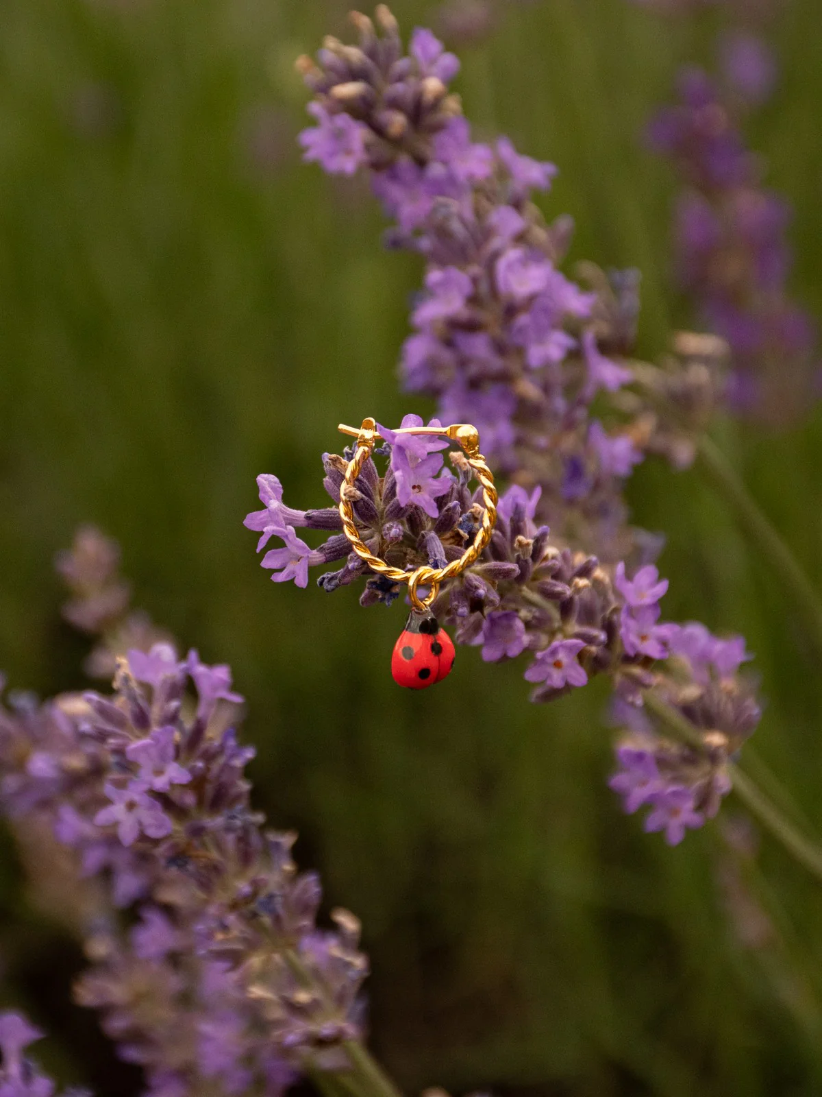 Miniature 3