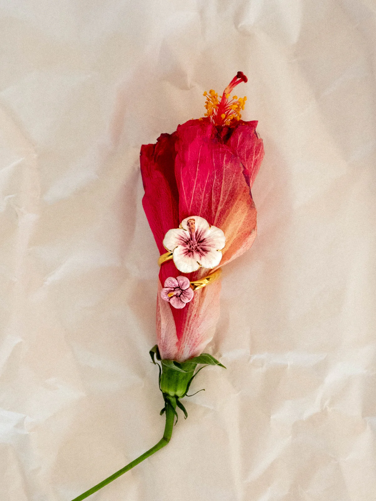 Miniature 5