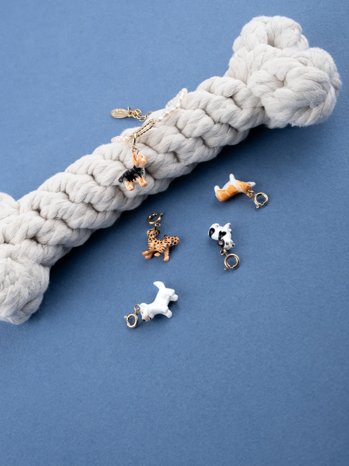 Miniature 5