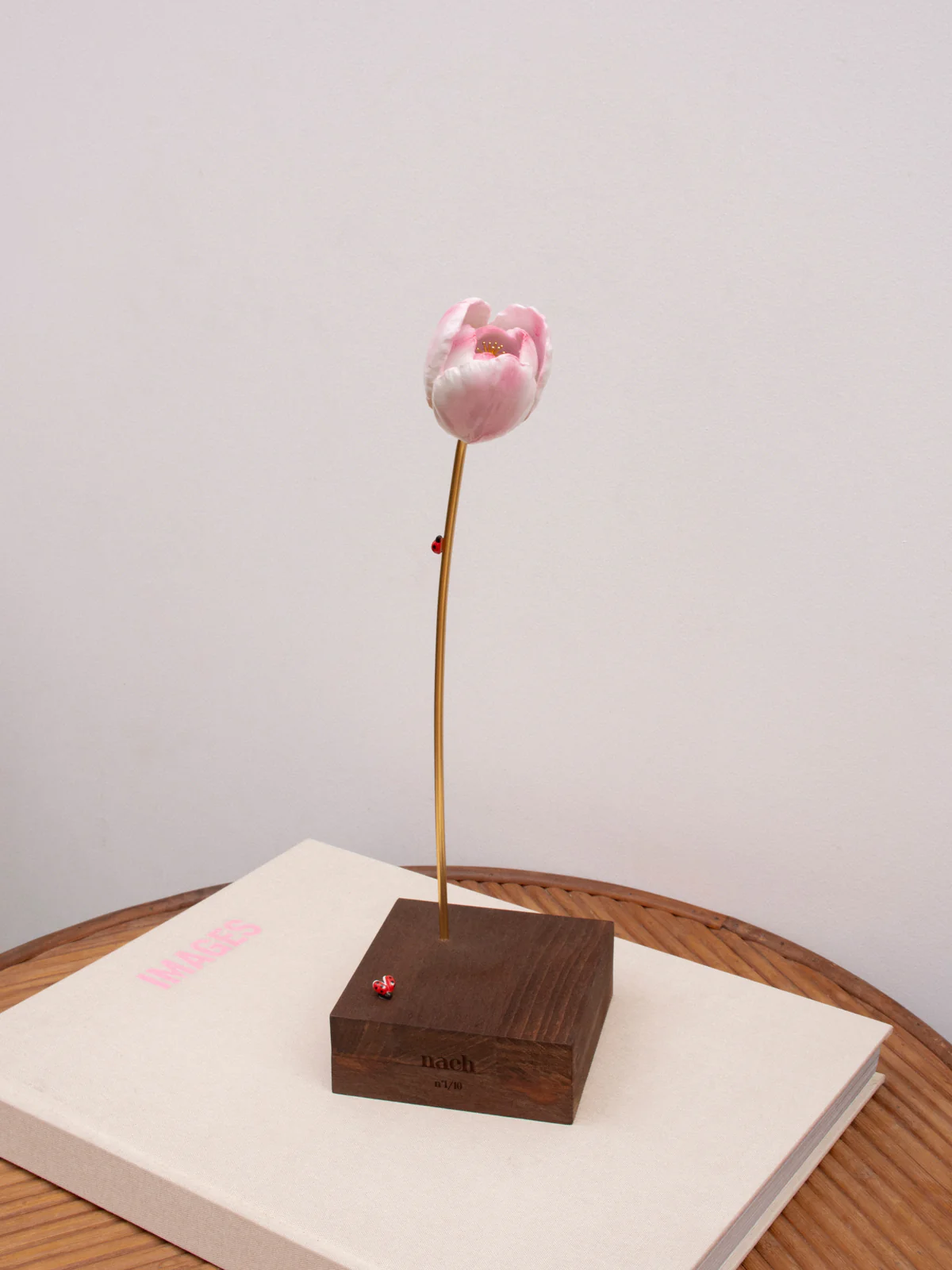 Miniature 2